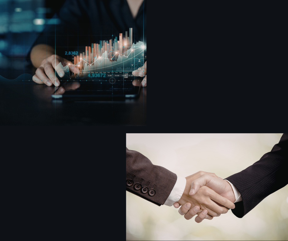 Detectiv particular | Investigații economice